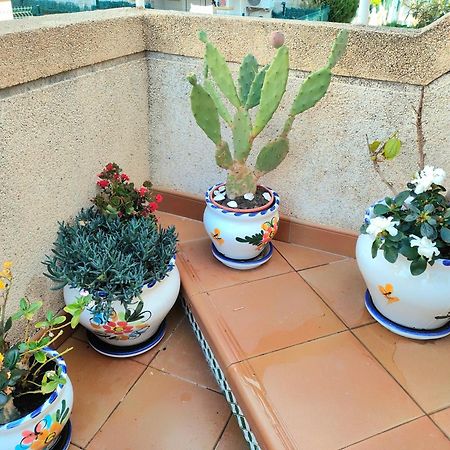 Casa De Buenos Dias Apartment Torrevieja Exterior photo