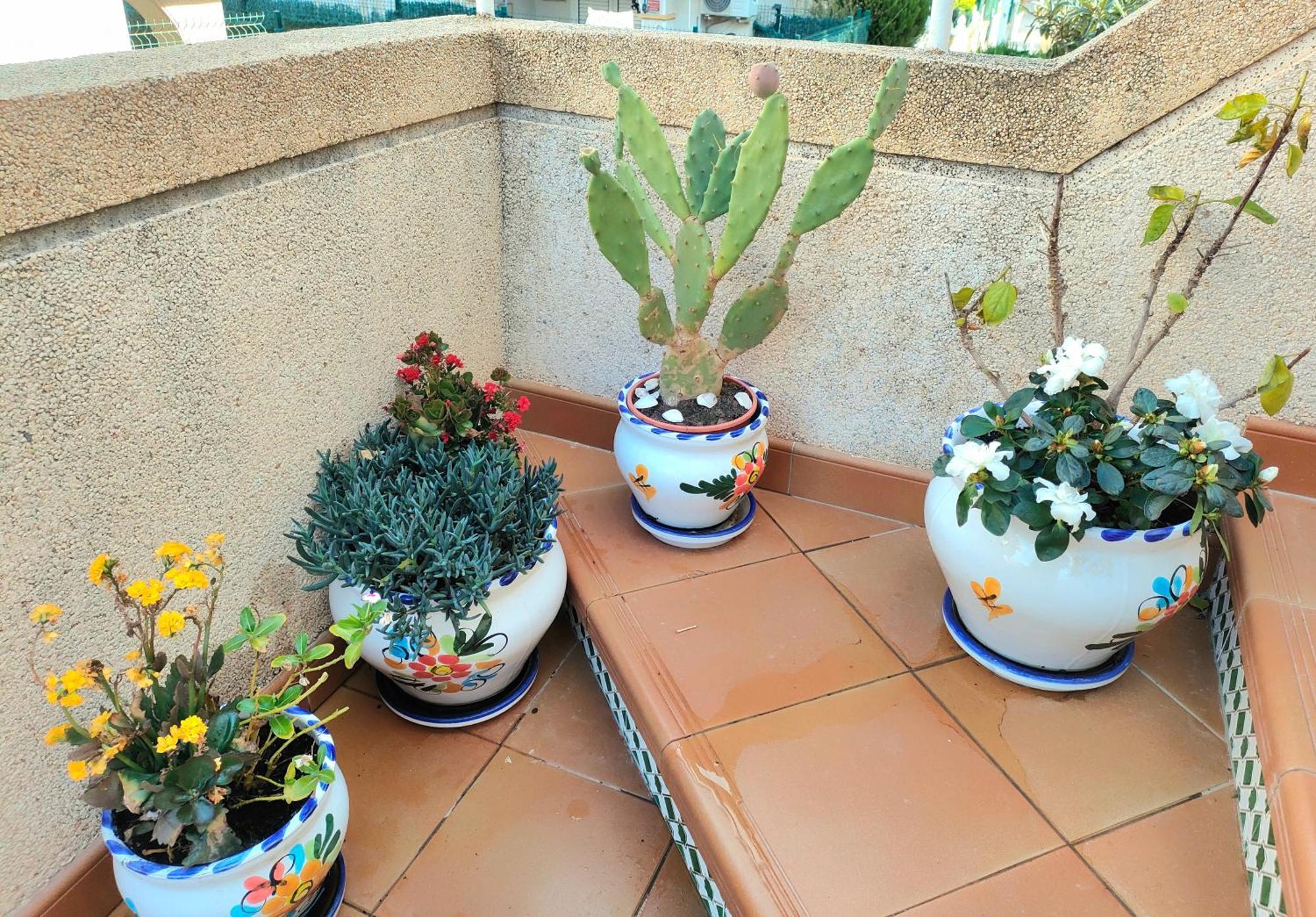 Casa De Buenos Dias Apartment Torrevieja Exterior photo
